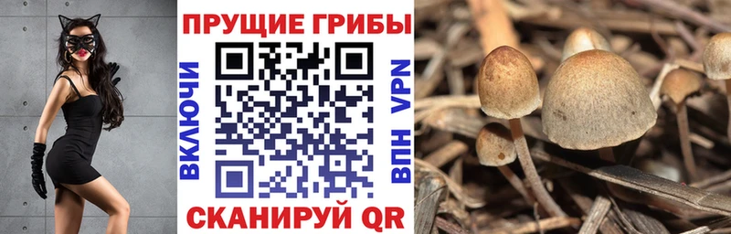 Псилоцибиновые грибы прущие грибы  Таштагол 